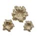 Juniper + Ivory Set of 3 17 In., 19 In., 26 In. Eclectic Floral Wall Decor Gold Polystone - Juniper + Ivory 48042