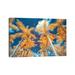 East Urban Home Palm Tree I by Glauco Meneghelli - Wrapped Canvas Photograph Print Canvas | 18 H x 26 W x 1.5 D in | Wayfair