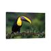 East Urban Home Yellow Throated Toucan Posing by Pascal De Munck - Wrapped Canvas Photograph Print Canvas in Black/Green/White | Wayfair