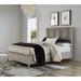 Modus Furniture Low Profile Platform Bed Wood in Brown/Gray | 55 H x 65 W x 87 D in | Wayfair 9DM8H4