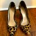 J. Crew Shoes | Gorgeous J. Crew Calf Hair Leopard Print Pumps | Color: Black/Yellow | Size: 7.5