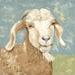 August Grove® Farm Life-Brown Goat by Jade Reynolds Painting Print on Canvas Canvas, Wood in Blue/Brown/Green | 13.5 H x 13.5 W x 1.375 D in | Wayfair