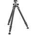 Gitzo Systematic Series 4 Carbon Fiber Tripod with Arca-Type Series 4 Center Ball GK4543LS-83LR