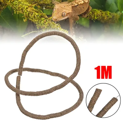 Vigne de Reptile Flexible artificielle de 1M rotin caméléon lézard Branches de Terrarium pliables