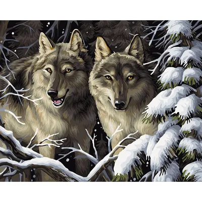 Malen nach Zahlen auf Leinwand Wölfe im Wald, 50 x 40 cm