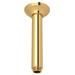 Rohl 7" Ceiling Mount Shower Arm in Yellow | 6.69 H x 2.56 W x 2.56 D in | Wayfair 1505/6IB