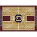 Imperial South Carolina Gamecocks 3'10" x 5'4" Courtside Rug