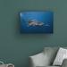 Highland Dunes Whale Shark by Barathieu Gabriel - Wrapped Canvas Photograph Print Metal in Black/Blue/Gray | 22 H x 32 W x 2 D in | Wayfair