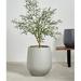 Ebern Designs Fion Pot Planter Natural Fibers/Composite/Fiberglass/Resin/Plastic in Gray | 21.75" H x 17.25" W x 17.25" D | Wayfair