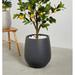 Ebern Designs Fion Pot Planter Natural Fibers/Composite/Fiberglass/Resin/Plastic in Black | 21.75" H x 17.25" W x 17.25" D | Wayfair