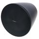 Bose Professional DesignMax DM10P-SUB black