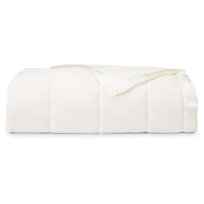 Expressions Down Alternative Blanket
