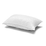 White Down Pillow, with MicronOne Dust Mite, Bedbug, and Allergen-Free Shell, Medium, for All Sleep Positions