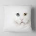 Designart 'Portrait of Cute White Kitten' Animal Throw Pillow