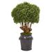 44" Boxwood Artificial Topiary Tree in Metal Planter (Indoor/Outdoor)