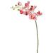 Vickerman 35" Pink Orchid Floral Stem