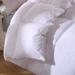 Twin Ducks Inc Padua European White Down Comforter