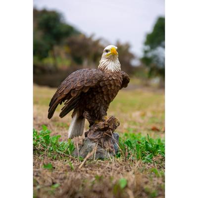 Motion Activated Singing Eagle