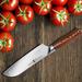 Tuo Cutlery 7" Santoku Vegetable Knife, Fiery Series