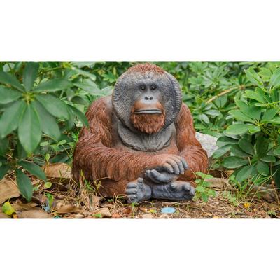 Orangutan Sitting