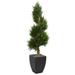 5.5' Cypress Spiral Artificial Tree in Black Wash Planter UV Resistant (Indoor/Outdoor)