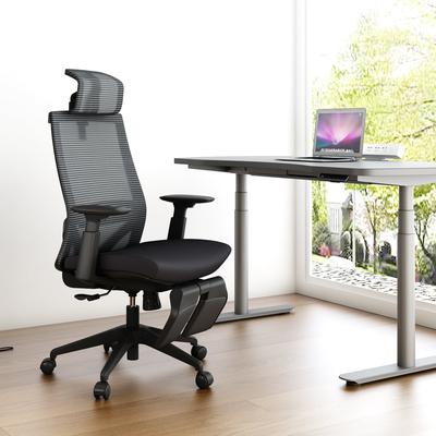 Ergonomic Office Back Mesh Chair, Motostuhl Ergonomic Office Mesh Task Chair With Adjustable Headrest
