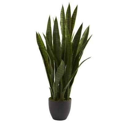 The Curated Nomad Zaius Sansevieria Arrangement - Green