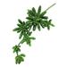 Set of 2 Natural Touch Artificial Echeveria Succulent Stem Plant Greenery Pick Spray Branch 12.5in - 12.5" L x 5" W x 4" DP