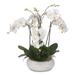 Two Tone White Silk Phalaenopsis Orchids Arrangement in Pot - 25W x 22D x 24H