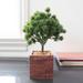 Artificial Desktop Pine Bonsai Tree in Square Wood Pot 10.5in - 10.5" H x 7" W x 7" DP