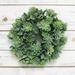 Frosted Green Artificial Mixed Lotus Succulent Greenery Wreath Candle Ring 9.5in - 9.5" L x 9.5" W x 3.5" DP