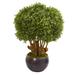 38" Boxwood Artificial Topiary Tree in Decorative Bowl (Indoor/Outdoor)