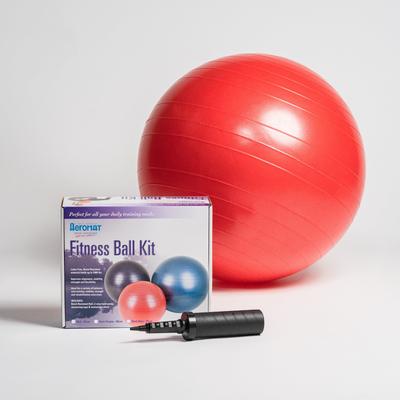 Aeromat Burst-Resistant Fitness Ball Kit