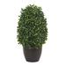 Nearly Natural 13" Boxwood Topiary Artificial Plant UV Resistant (Indoor/Outdoor) - Green