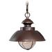 Harwich 1 Light Bronze Coastal Outdoor Barn Dome Pendant Clear Glass - 10-in W x 10.75-in H x 10-in D