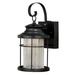 Melbourne 1 Light LED Dusk to Dawn Bronze Coastal Outdoor Wall Lantern Clear Glass - 6.25-in W x 13.25-in H x 7.25-in D