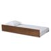 Midori Modern and Contemporary Transitional Twin Size Trundle Bed