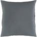 Miguel Medium Grey Solid Indoor/ Outdoor Throw Pillow (20" x 20")