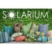 Sis Covers Solarium Striped Indoor/ Outdoor Accent Pillow