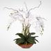 Real Touch Phalaenopsis Silk Orchid Arrangement with Curly Willow in Natural Teak Wood Bowl - White