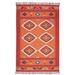 Nourison Baja Diamond Southwestern Fringe Area Rug