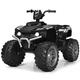 COSTWAY Kids Electric Quad Bike, 12V Battery Powered Ride on ATV with LED Light, Horn & Music, High/Low Speeds, Electric Mini Vehicle Toy Car for Boys Girls (Black)