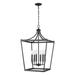 Acclaim Lighting Kennedy 16 Inch Cage Pendant - IN11134BK