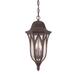 Acclaim Lighting Milano 19 Inch Tall 3 Light Outdoor Hanging Lantern - 39816ABZ