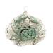 December Diamonds Blue Crab Christmas Holiday Ornament Crackle Finish - Multi