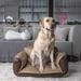 K1 Dog Sofa Stark - Brown