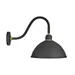 Hinkley Foundry Dome Gooseneck Outdoor Wall Sconce - 10645TK