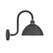 Hinkley Foundry Dome Tall Gooseneck Outdoor Wall Sconce - 10564TK