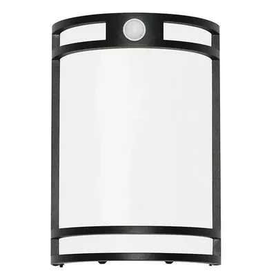 AFX Lighting Elston LED Outdoor Wall Sconce