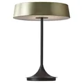 Seed Design China LED Table Lamp - SLD-6354MDJ-BRS